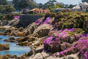Monterey property management